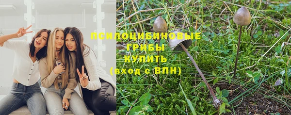 шишки Мегион