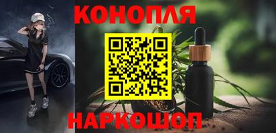 Альфа ПВП Кандалакша