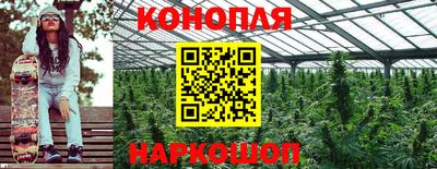 Альфа ПВП Кандалакша