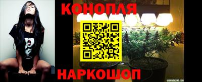 Альфа ПВП Кандалакша