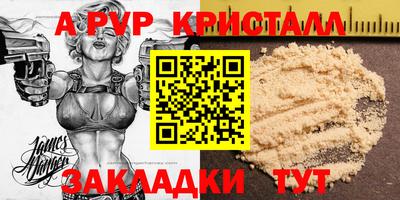 Альфа ПВП Кандалакша