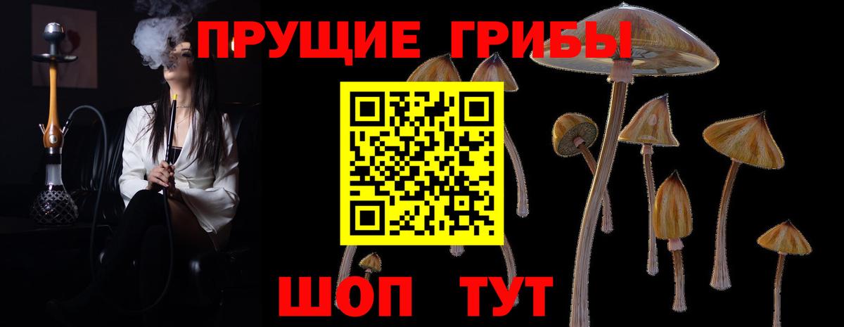 Псилоцибиновые грибы мицелий  Ханты-Мансийск  Псилоцибиновые грибы GOLDEN TEACHER 